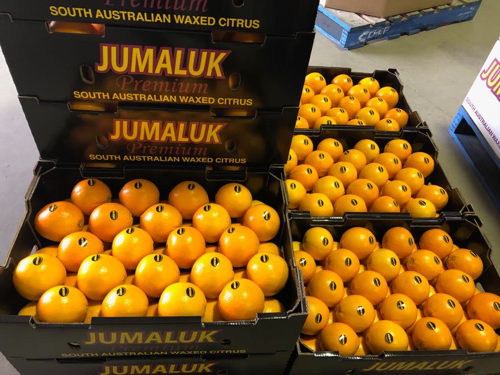 Jumaluk