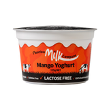 Yoghurt Starter Pack